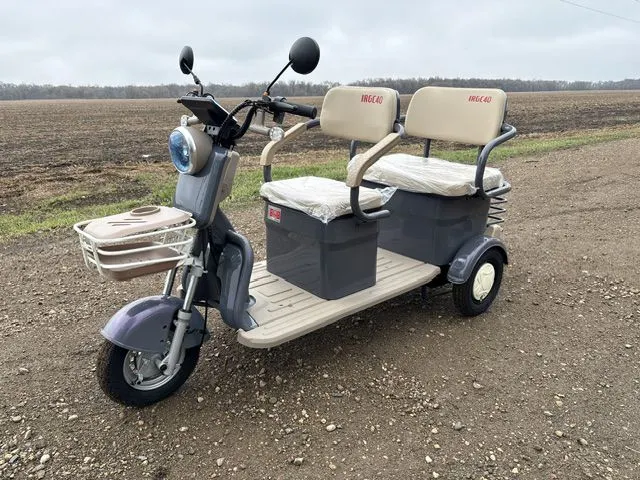 NEW Unasembled SDLanch 3-wheel mini golf cart, 2-seater, electric drive, WHITE, reverse, see video, see lot details. File pics.