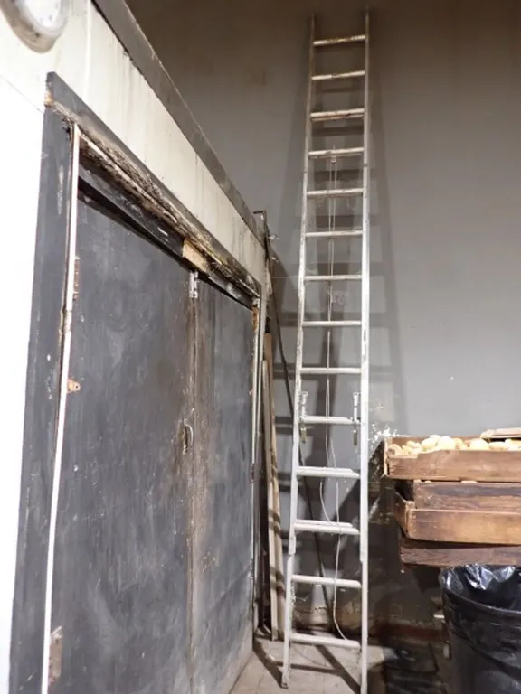 24 ft Extension Ladder