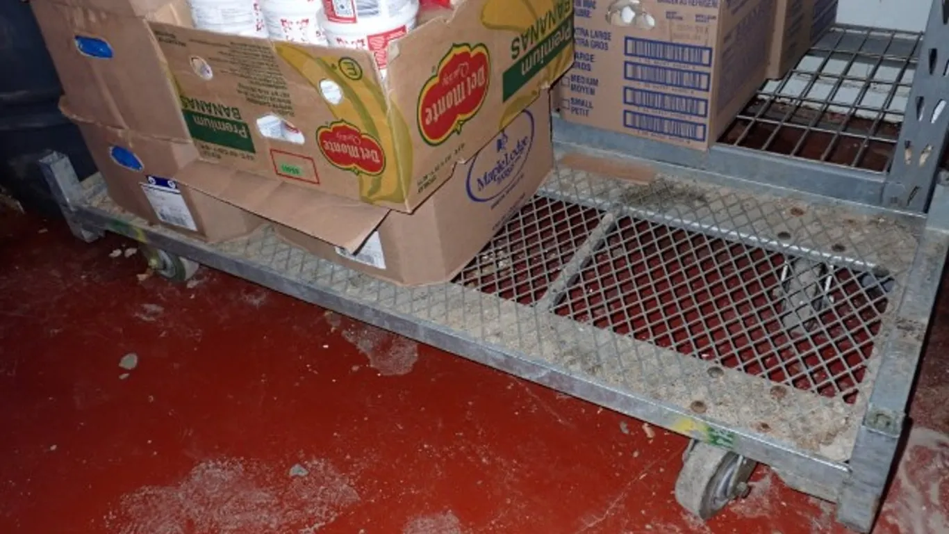 Industrial Metal Platform Cart