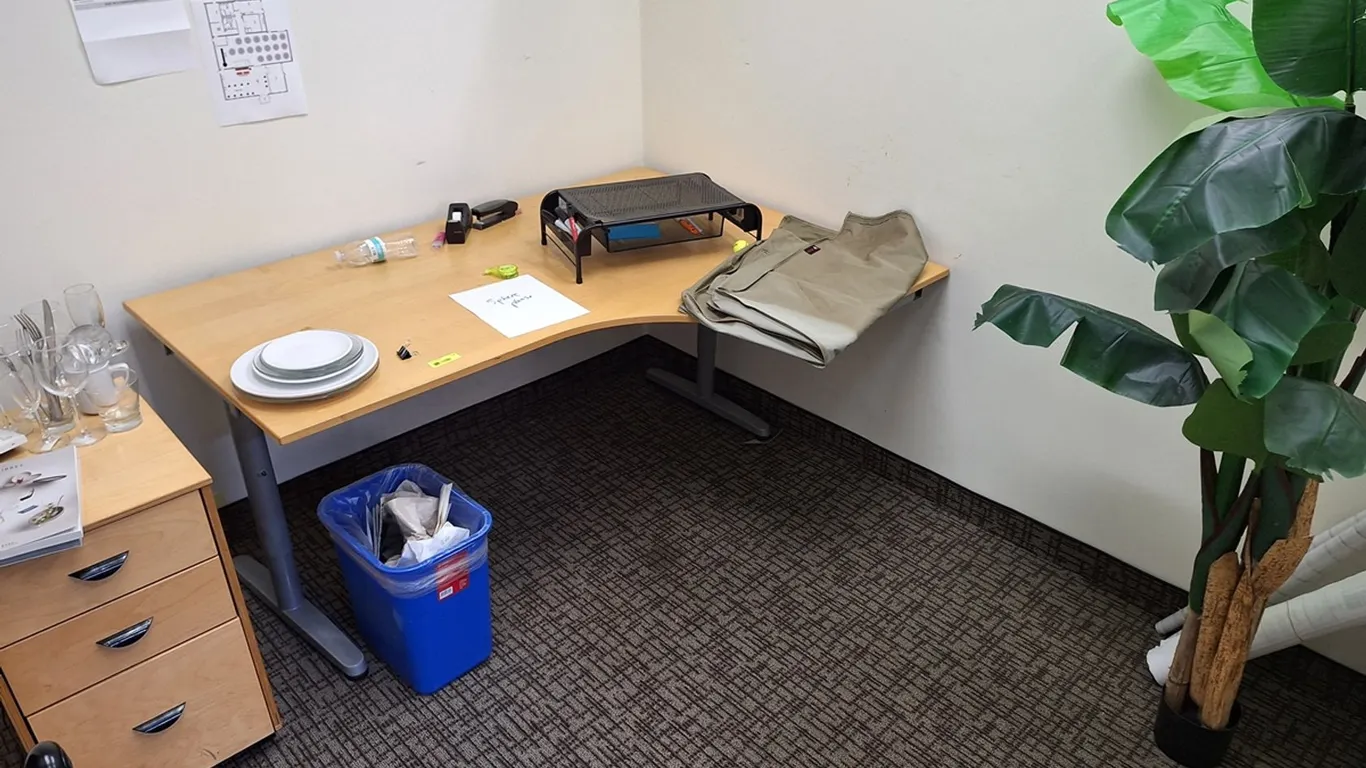 Contents of Room, Desk, Fake Plant, More