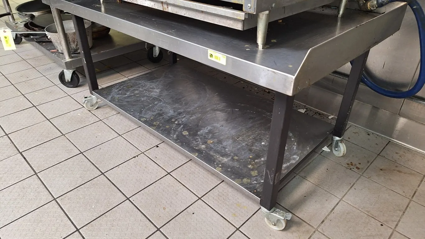 SS Equipment Stand with Undershelf on Wheels, 60"x31"x25"