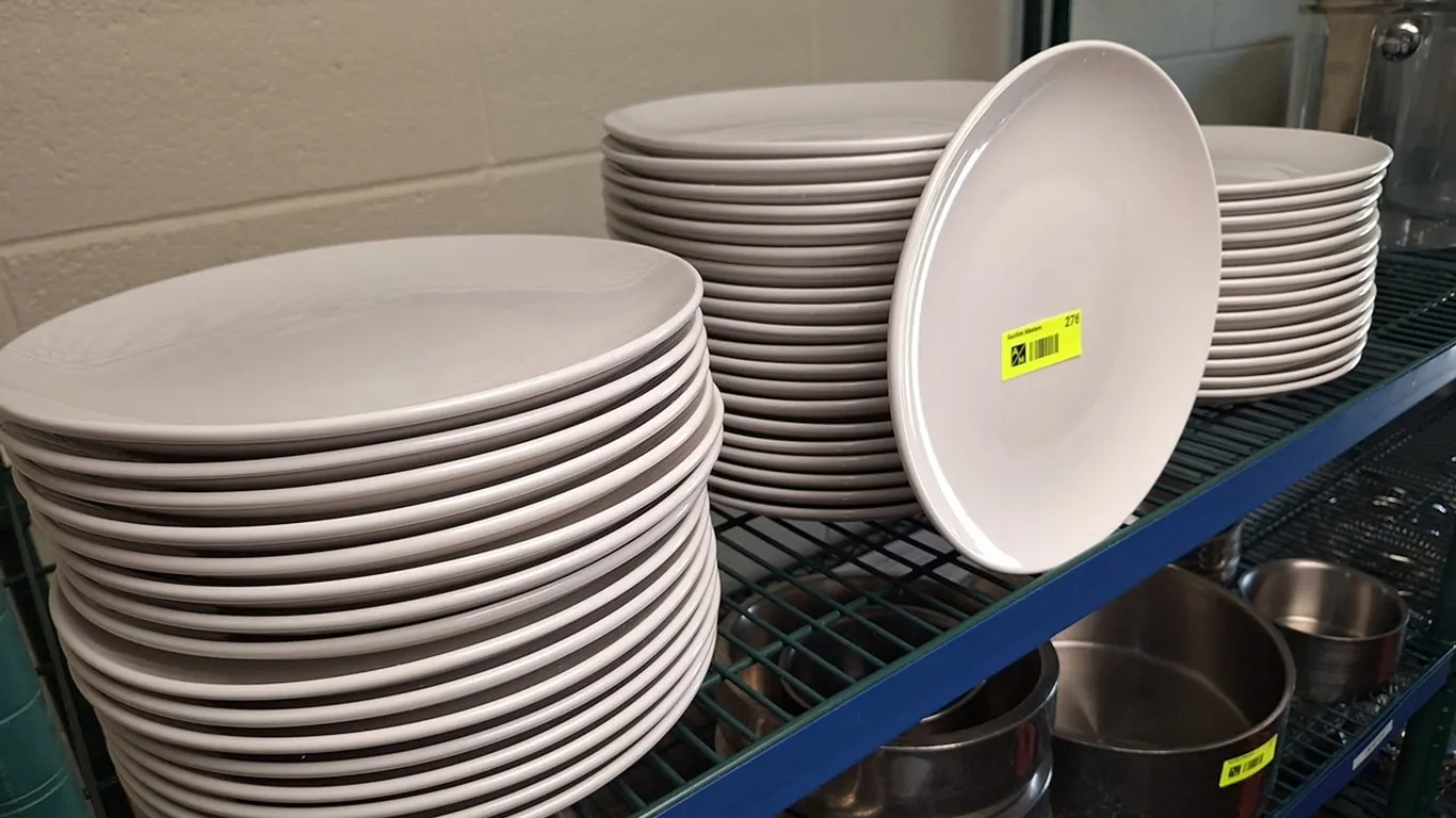 Approx. 50 Ceramic Plates