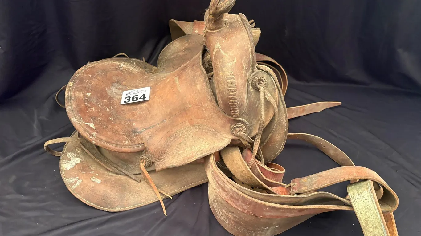 Lot 364