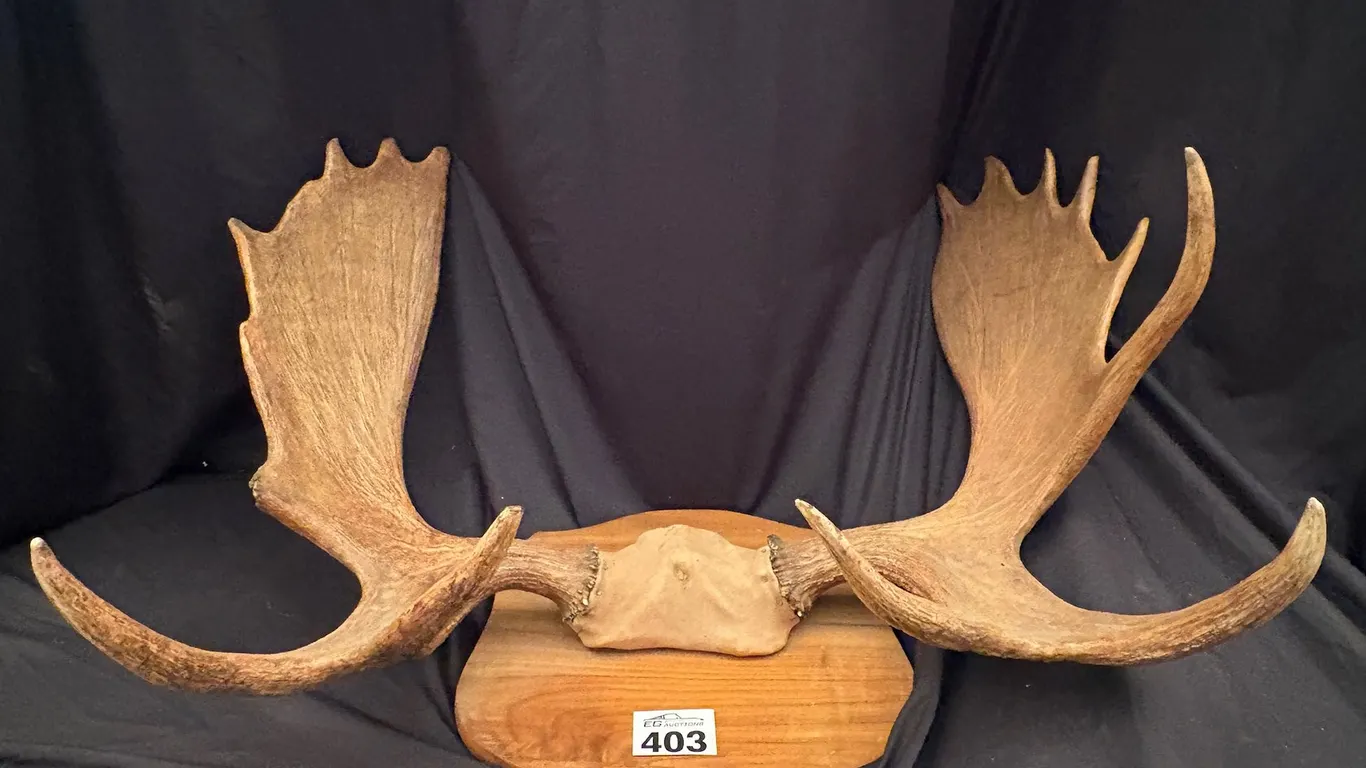 Lot 403