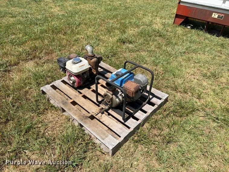 (2) pumps
