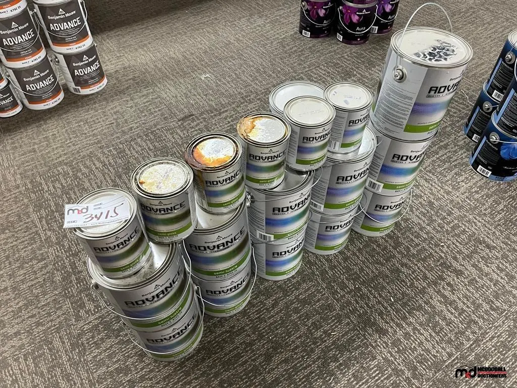 Assorted Benjamin Moore Advance Interior Paints
UNRESERVED