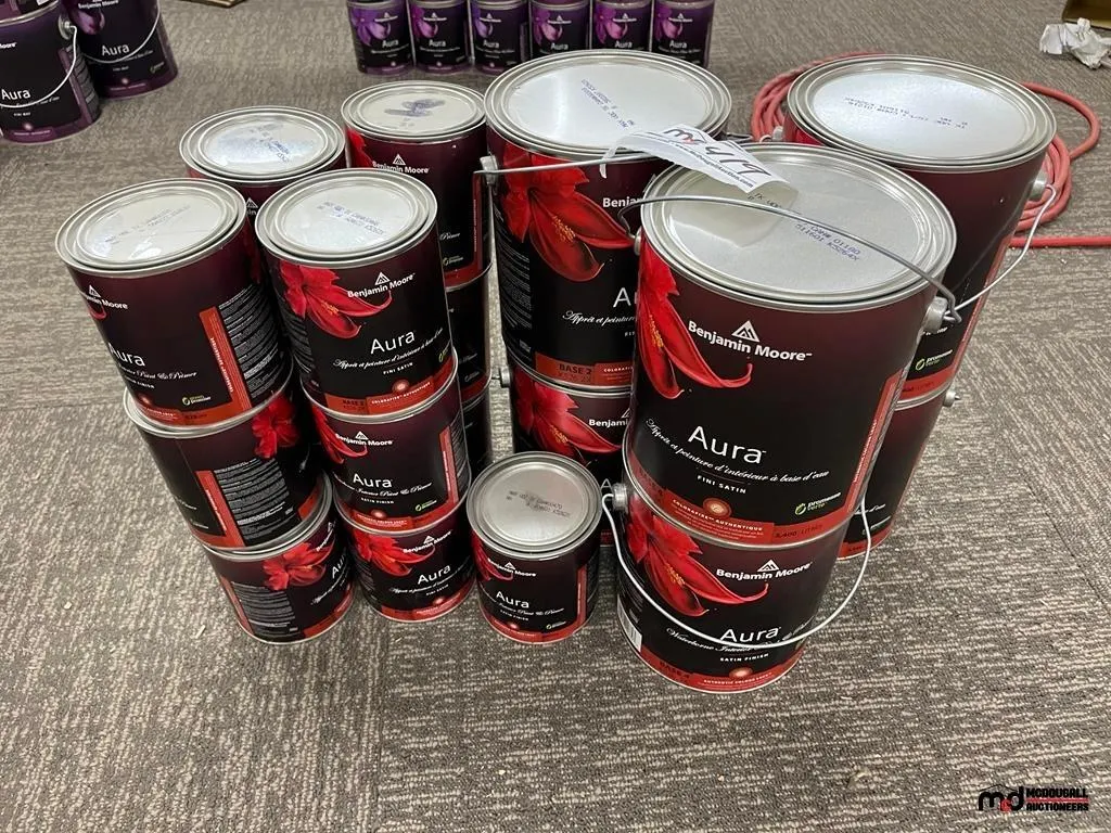 Benjamin Moore Aura Paint Assortment
UNRESERVED