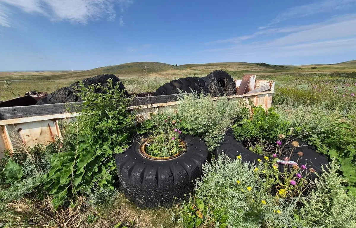 Assortment of Tires
UNRESERVED