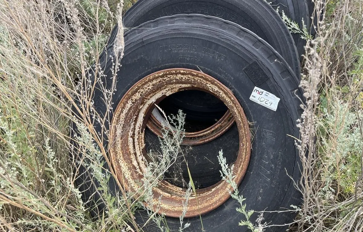 Assorted Truck Tires on Steel Rims
UNRESERVED