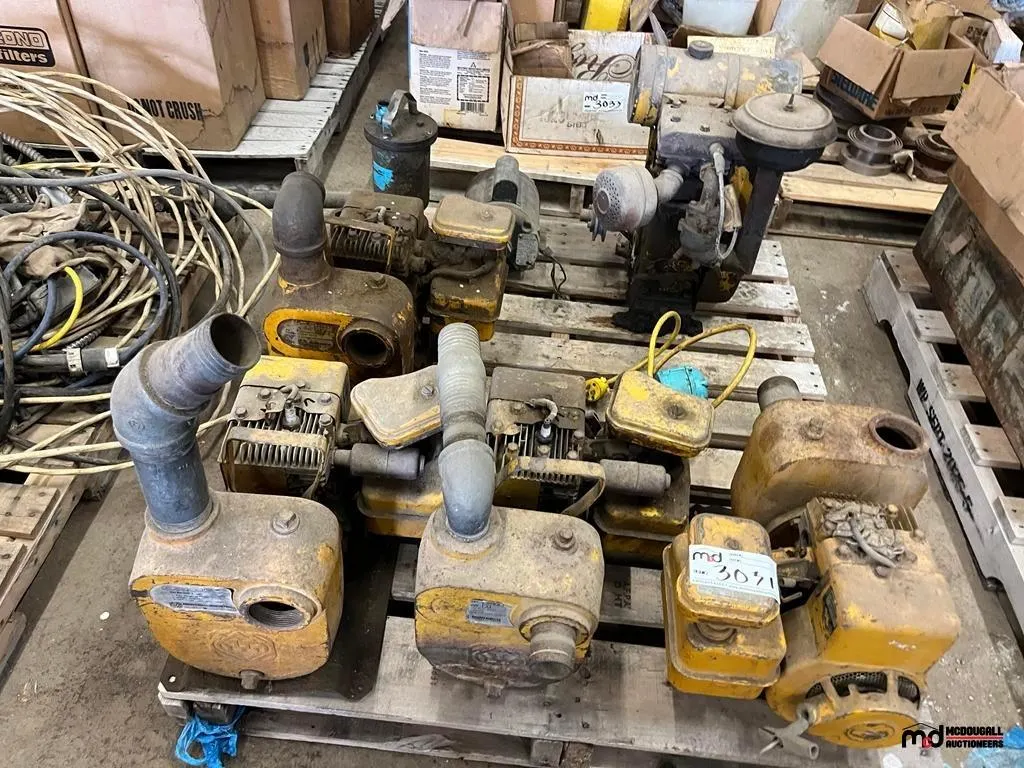 Pallet of Assorted Pumps, Engines, Motors
UNRESERVED