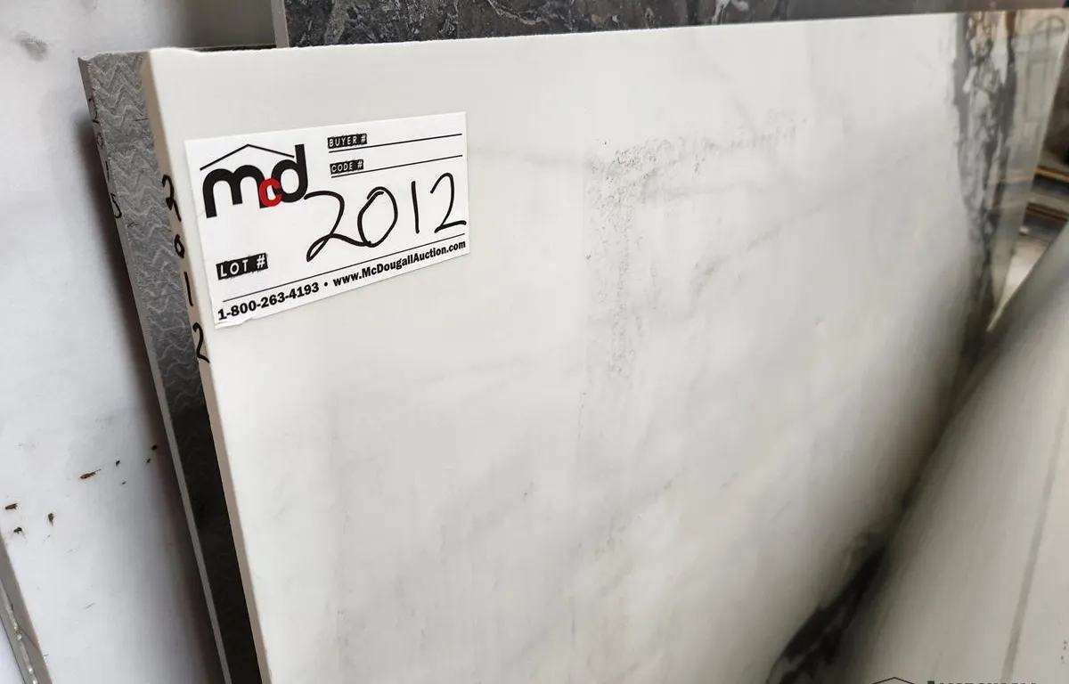 White & Grey Veined Porcelain Half Slab
UNRESERVED