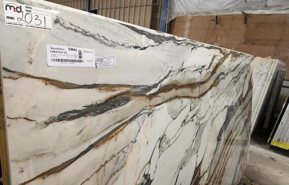 Emil Group Porcelain Slab
UNRESERVED