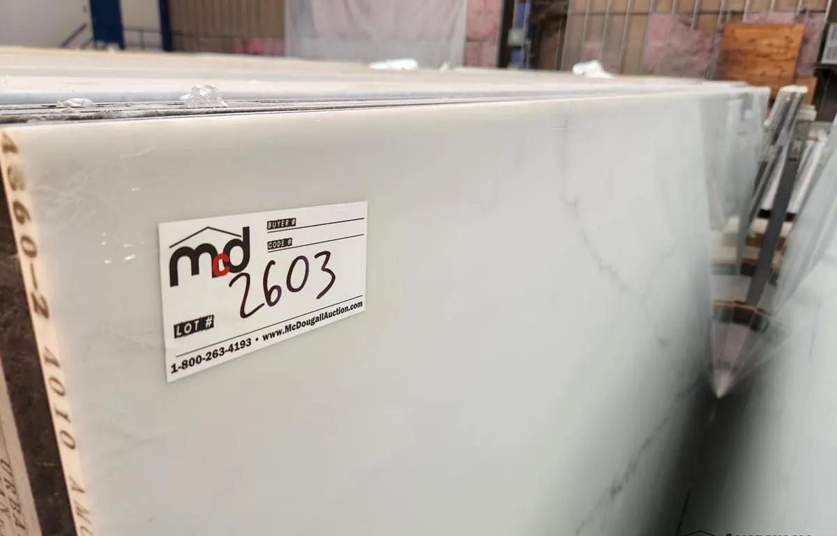 White and Grey Quartz Slab
UNRESERVED