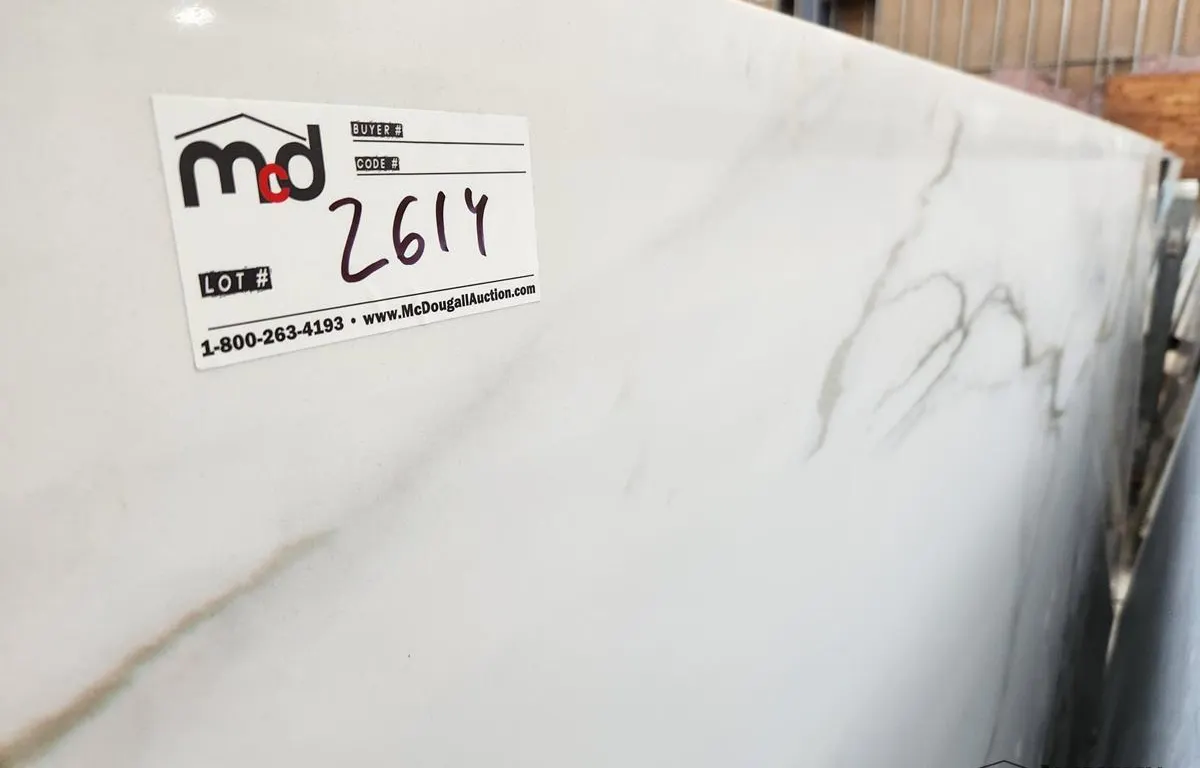 White and Grey Quartz Slab
UNRESERVED