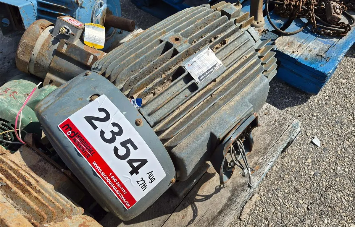 TECO 30 HP 3-Phase Induction Motor
UNRESERVED