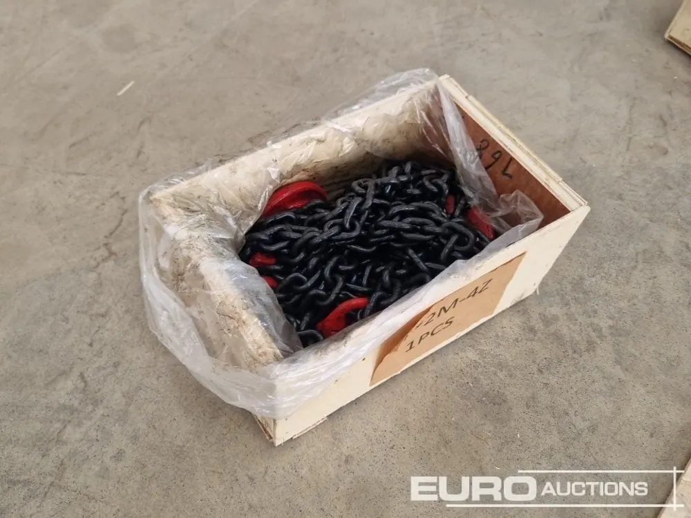 Unused 6 Ton x 2M Chain Brothers