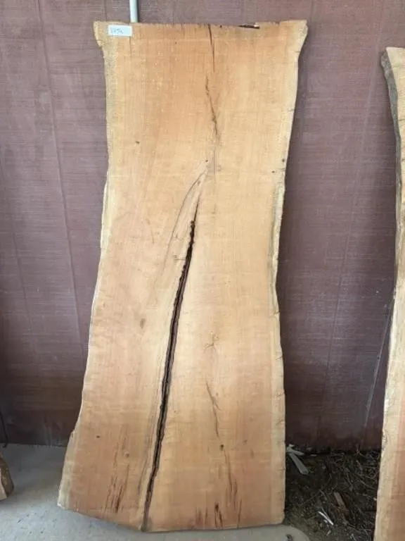 66" Tall Live Edge Wood Slab