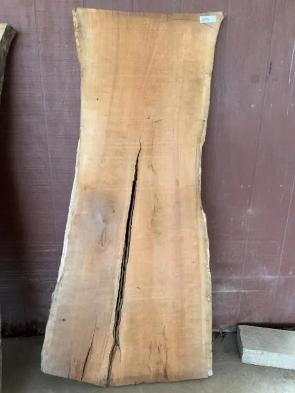 1 Piece Live Edge Wood Slab