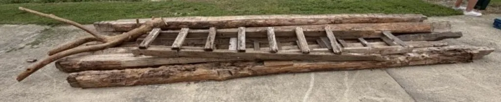 Weathered Logs