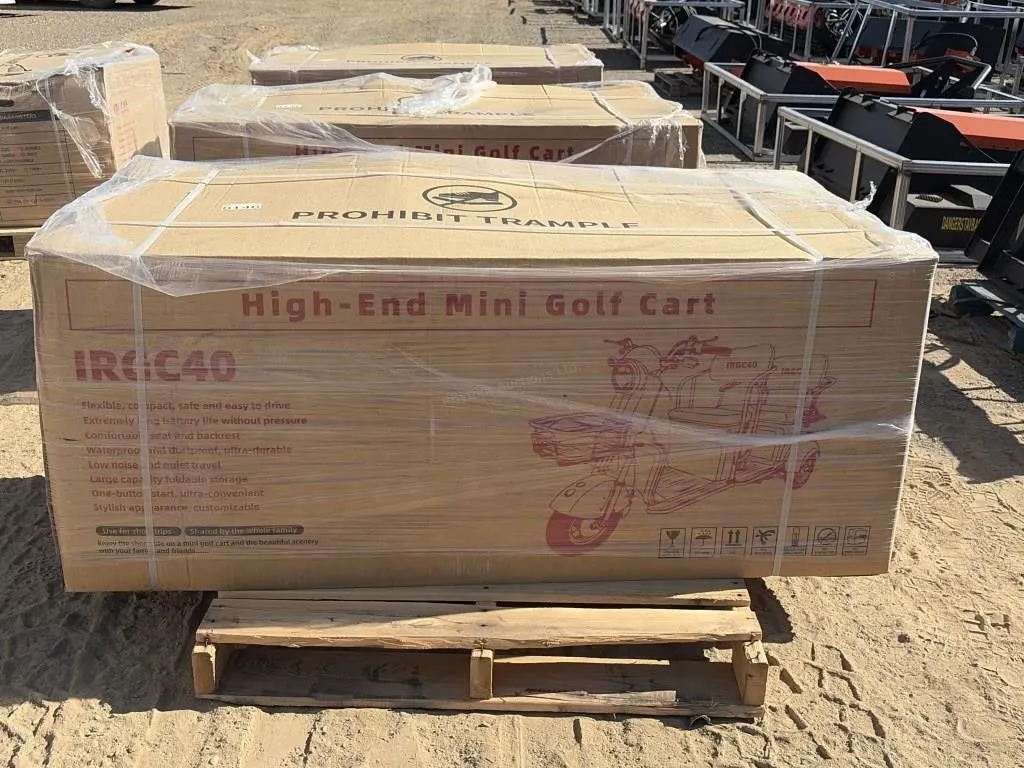 2026 Unused IRGC40 Electric Tricycle