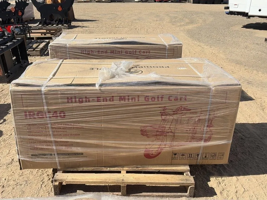 2026 Unused IRGC40 Electric Tricycle