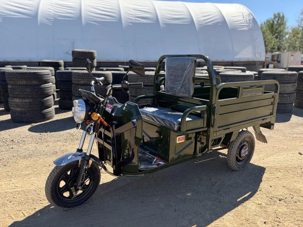 2026 Unused IRET13 Electric Tricycle