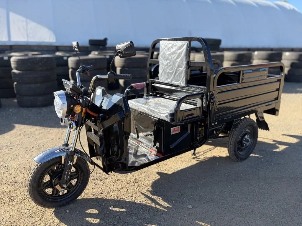2026 Unused IRET13 Electric Tricycle