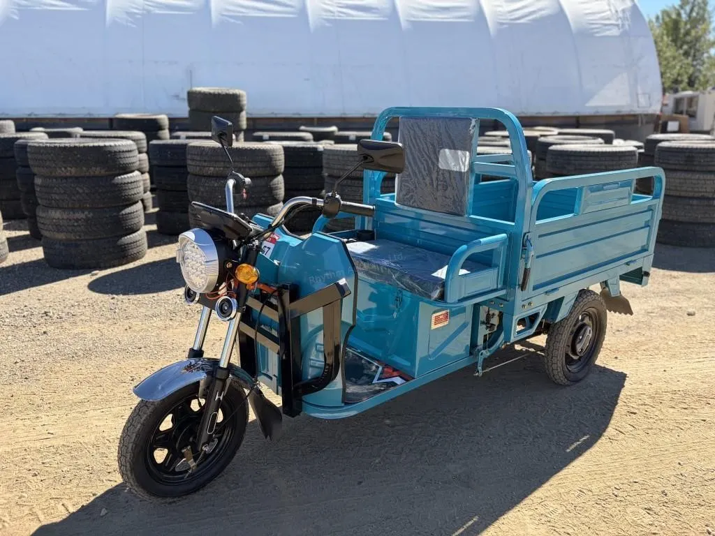 2026 Unused IRET13 Electric Tricycle