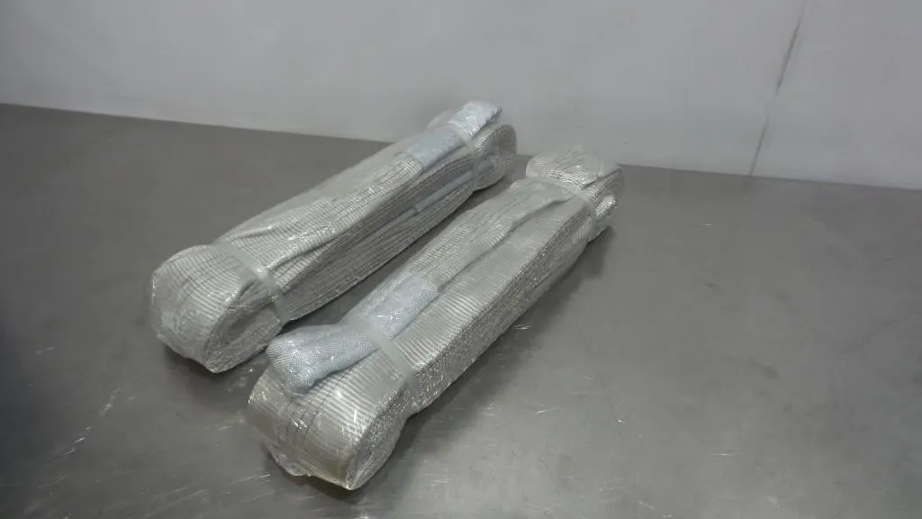 Pair 4-Ton 6M Polyester Web Slings