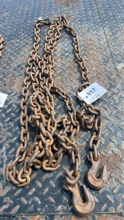 20 ft Chain