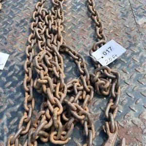 20 ft Chain