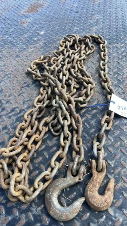 20 ft Chain