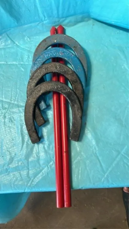 Horse shoe set
