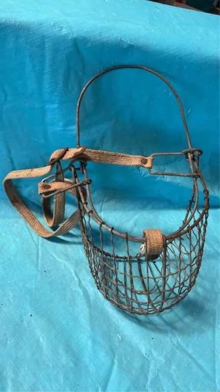 Horse grazing muzzle