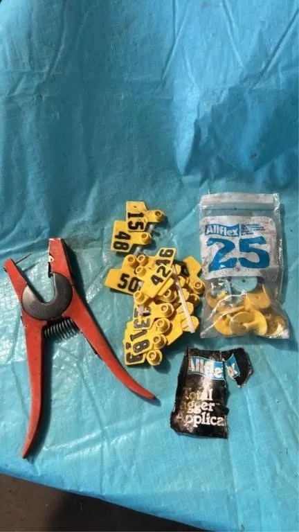 All flex tagger