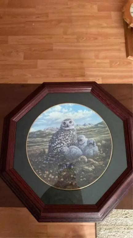Decorator plate