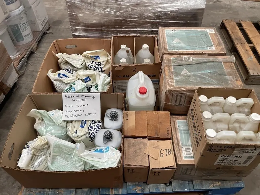 Assorted cleaning supplies