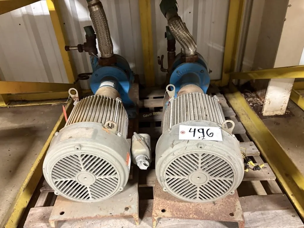(2) Paco Pumps