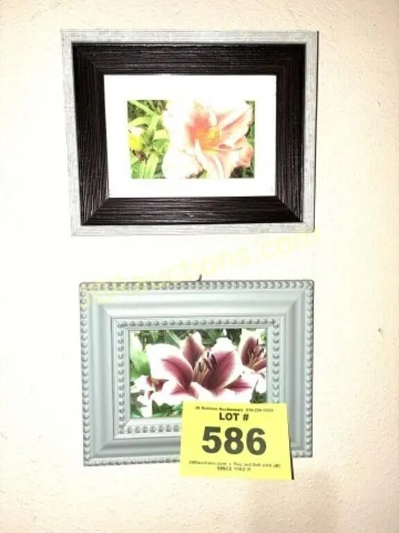 2 FLOWER PICTURES