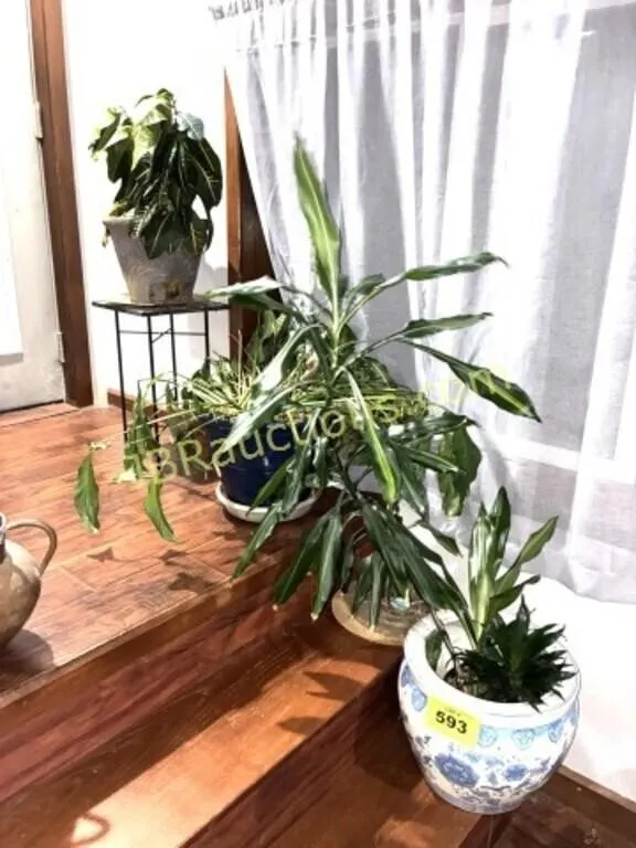 3 PLANTERS W FLOWERS