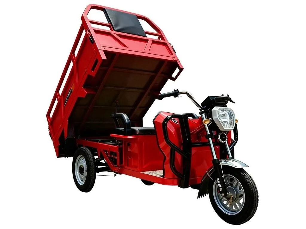 2026 SDLANCH IRET13 Electric Tricycle