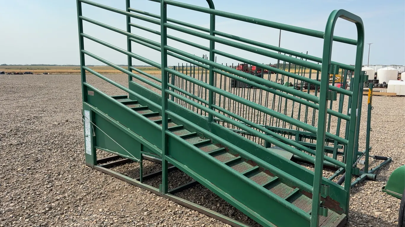 Cattle Loading Ramp