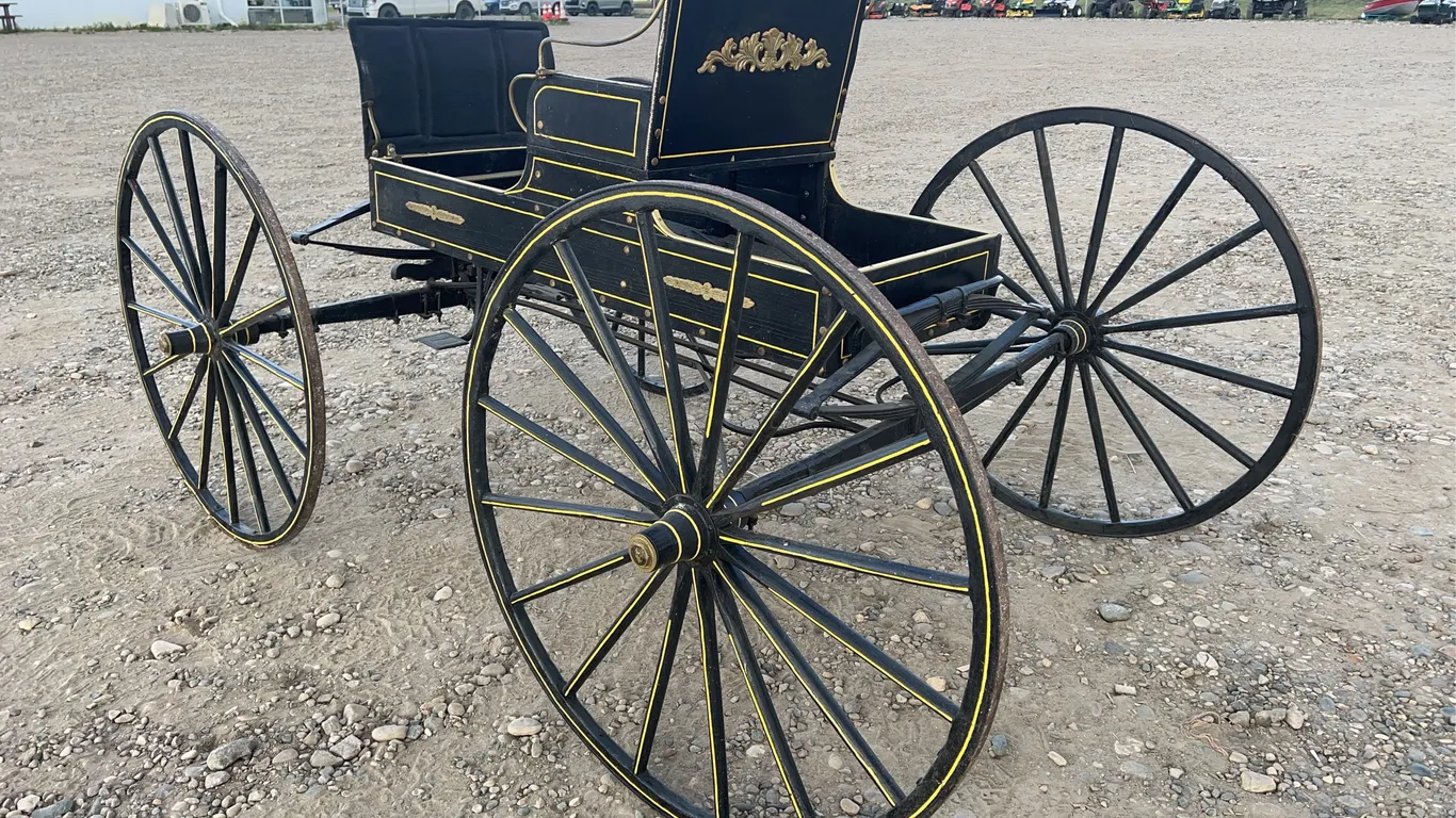 Horse Buggy