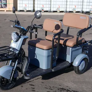 New! 2026 Mini Electric Tricycle Golf Cart Model IRGC40 (PURPLE COLOR)