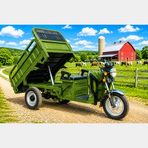 2026 SDLANCH IRET13 60V Electric Tricycle-Dump Bed- (ARMY GREEN COLOR)