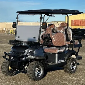 SDLGC80 4 Seats Electric Golf Cart 60V (Color BLACK)~New!