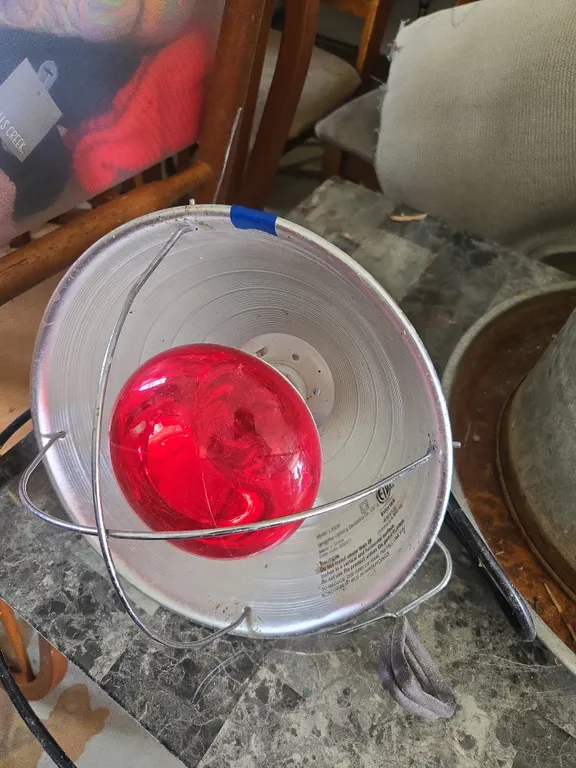Electric heat lamp and bulb