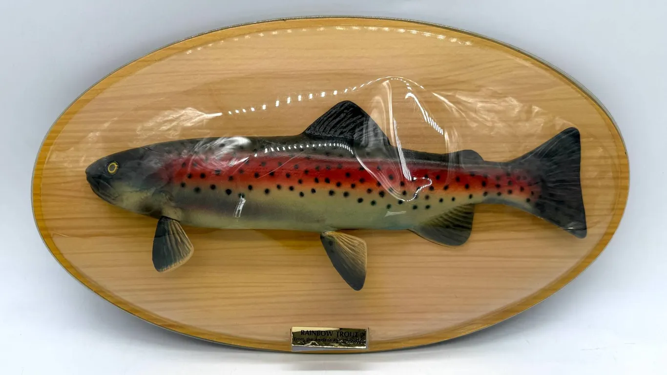 Ancient Age Whiskey Rainbow Trout Wall Sign