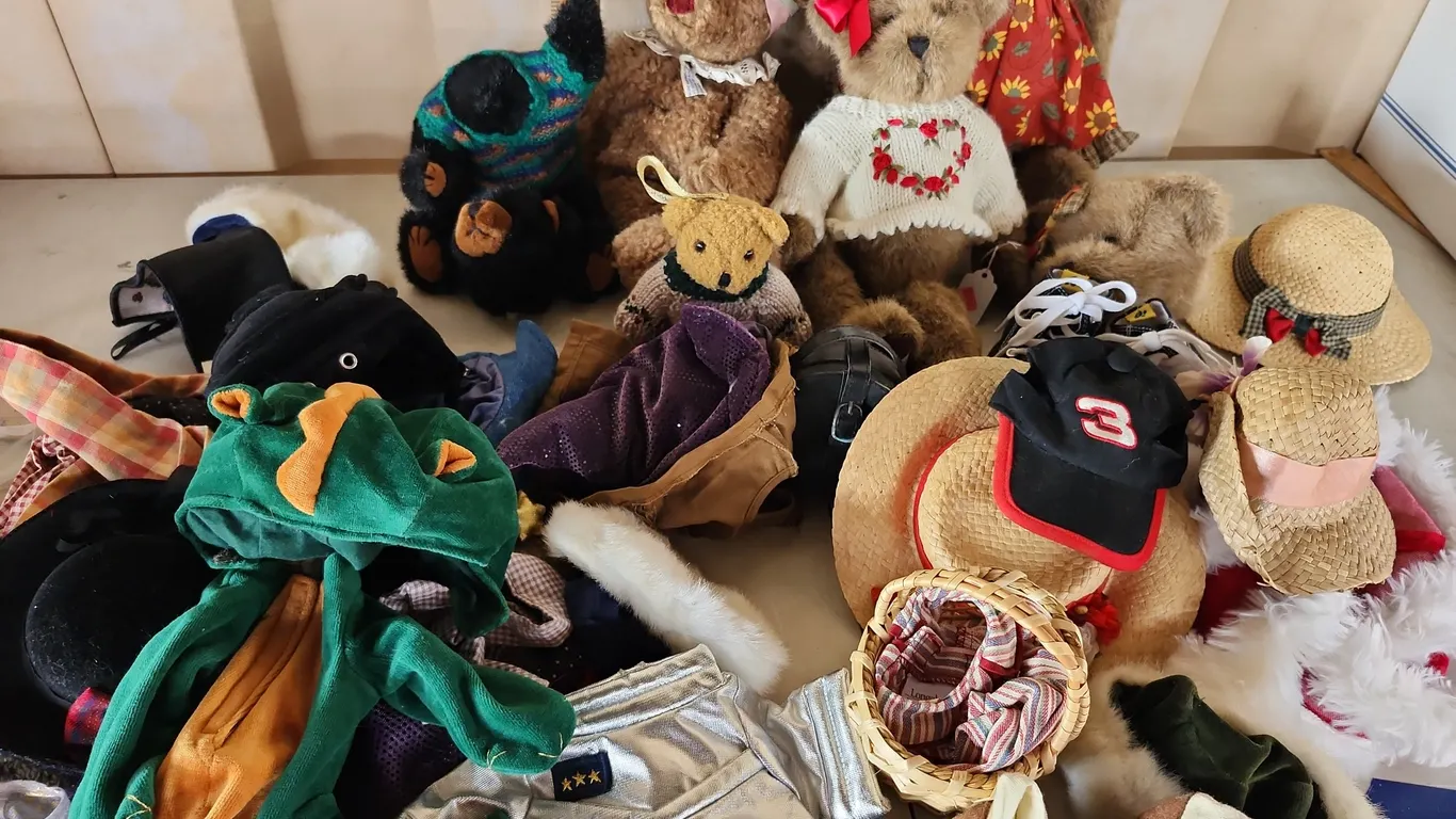 Assorted Bears & Clothes, See Photos