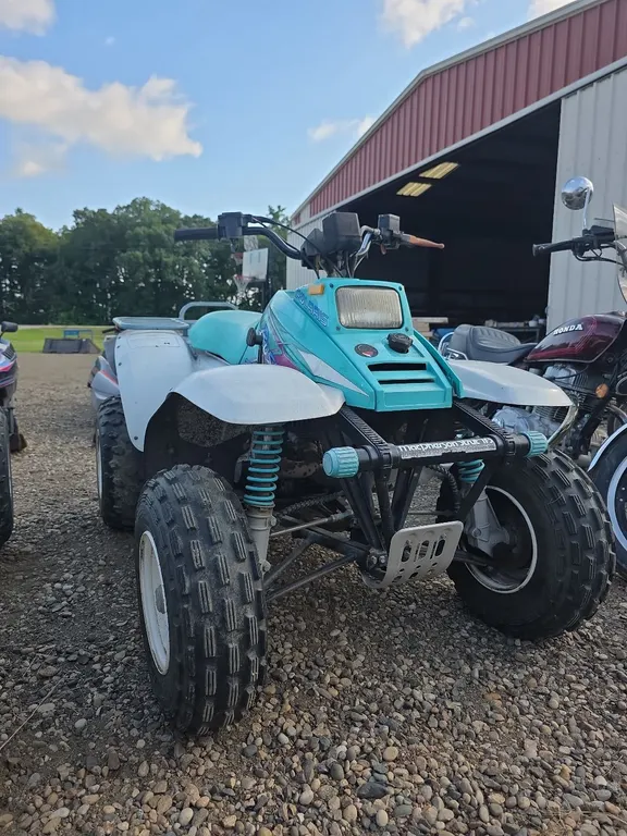 Polaris trailboss 250 atv NON RUNNING